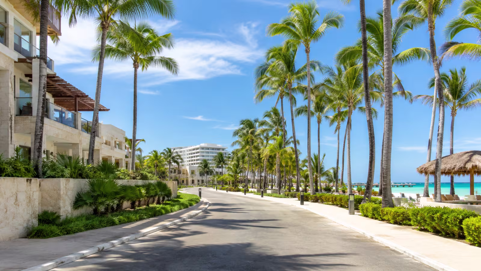 Punta Cana Airport Transfer with Alexa Transfers